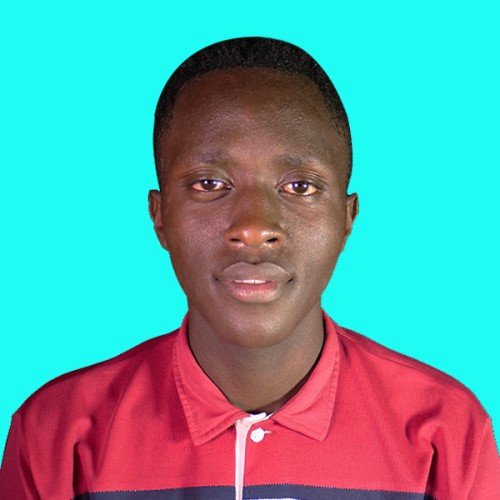 Vincent  N.