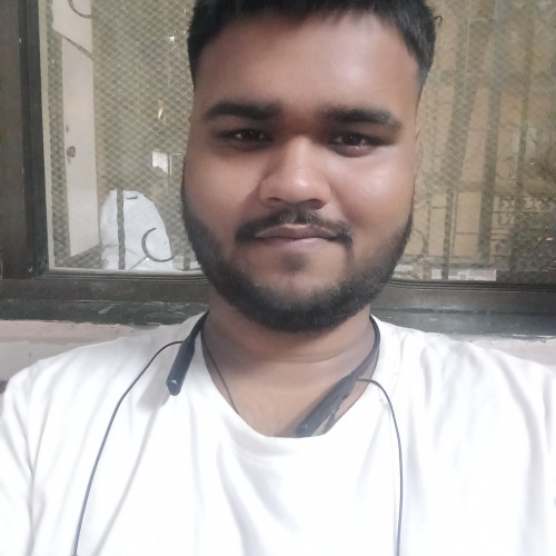 Kaushik  S. profile photo