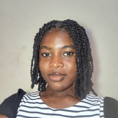 Oluwatoyi F. profile photo