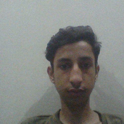 Tehreem O. profile photo