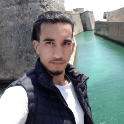 Hamza N.
