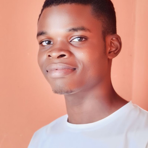 Oluwapelumi O. profile photo