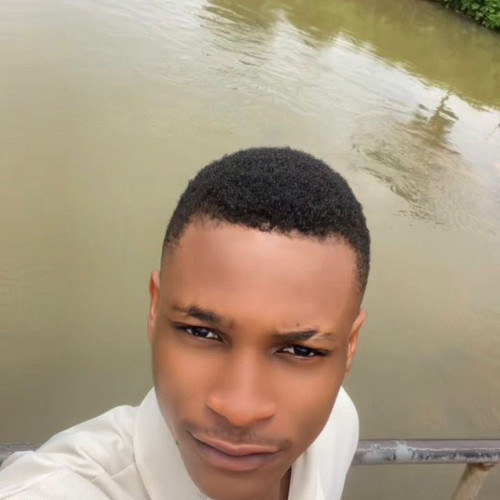 Chukwuebuka E. profile photo