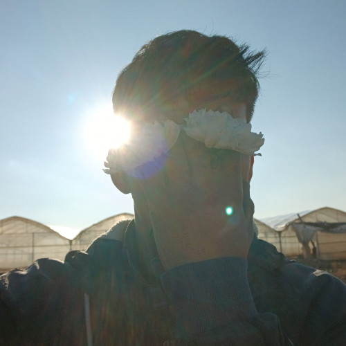 Ali A. profile photo