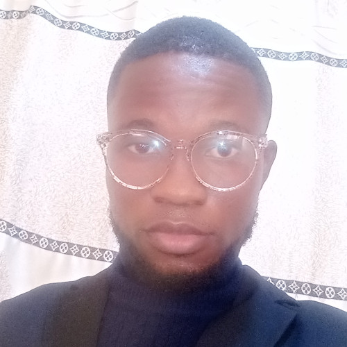 Olajide  L. profile photo