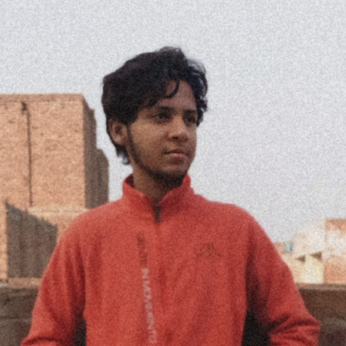 Sheraz N.