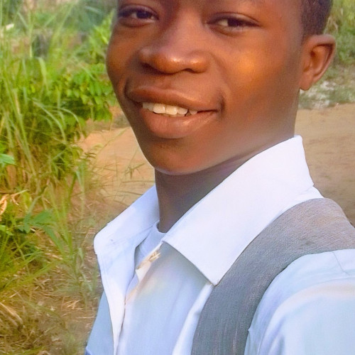 Wisdom N. profile photo