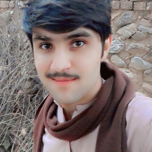 Sajid A. profile photo