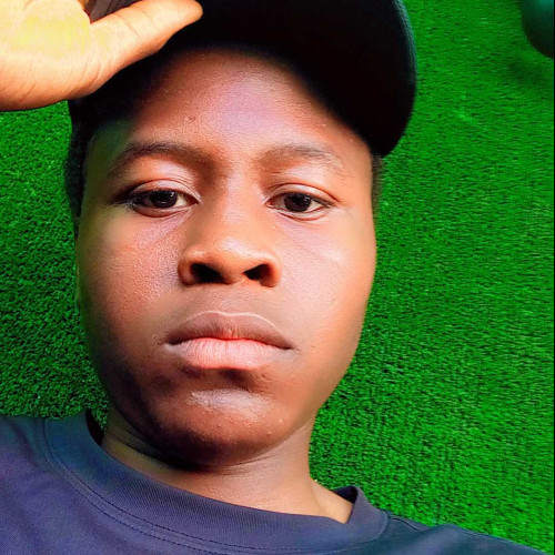 David P. profile photo