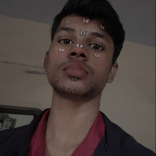 Puneet  K. profile photo