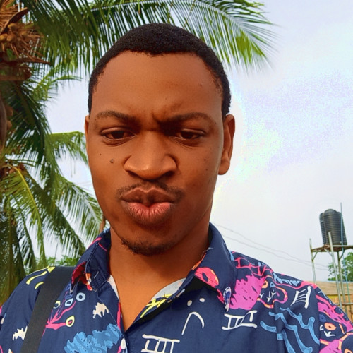 Ogunsipe O. profile photo