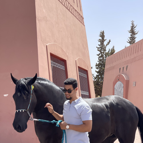 Mouakkit A. profile photo