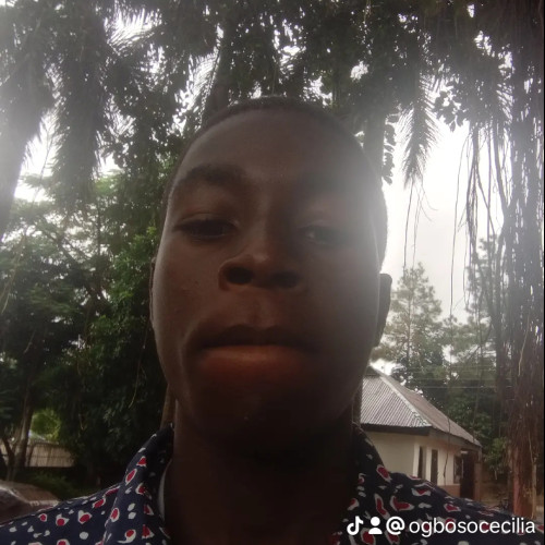 Kevin C. profile photo