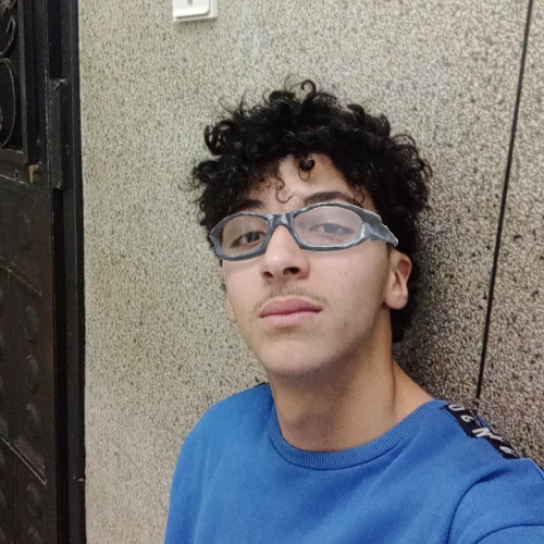 Houssam A.