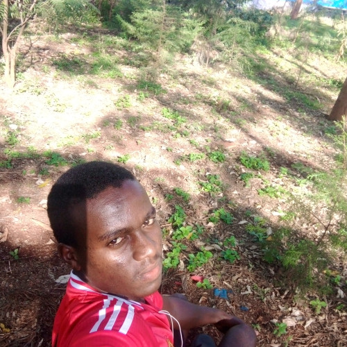 Stephen  K. profile photo