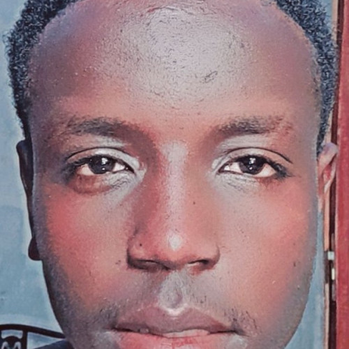 Stephen N. profile photo