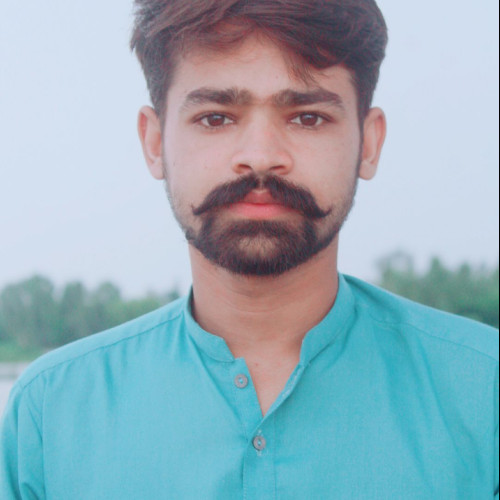 Ali N. profile photo