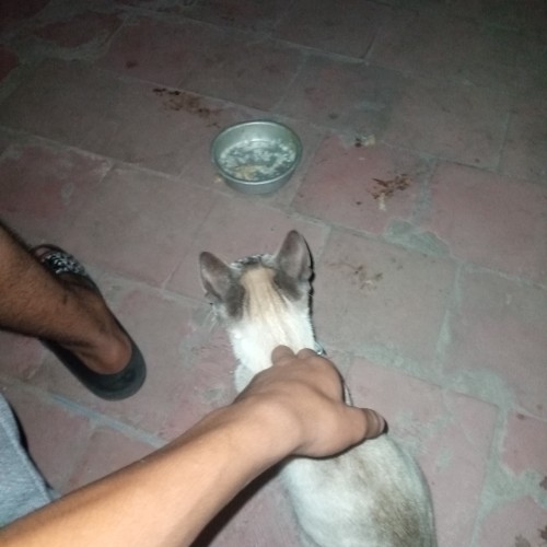 Zakaria  B. profile photo