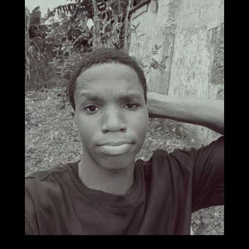 miracle l.