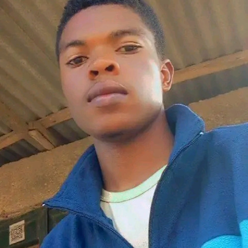 Lumi M. profile photo