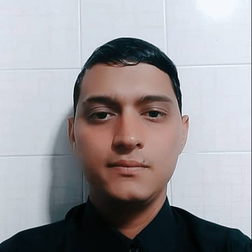 Nelson P. profile photo
