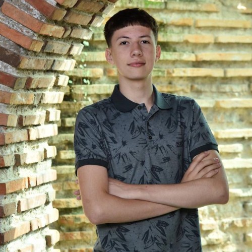 Veselin K.