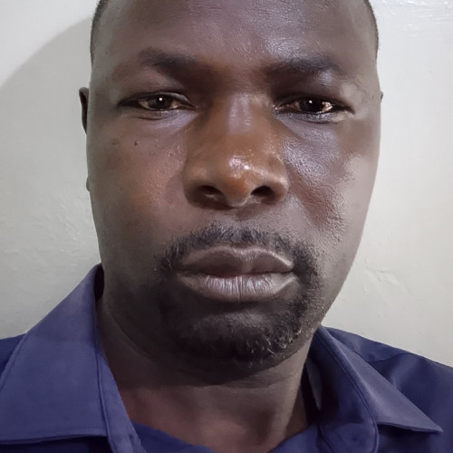 rimko m. profile photo