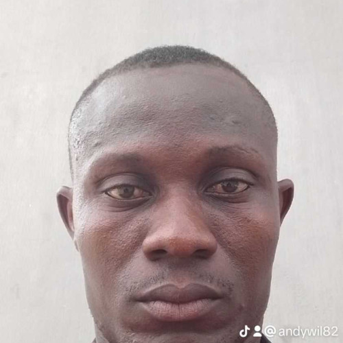 Tsegbone A. profile photo