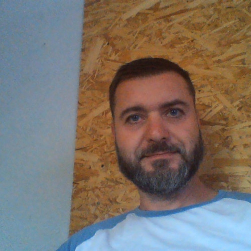 Dragos D. profile photo