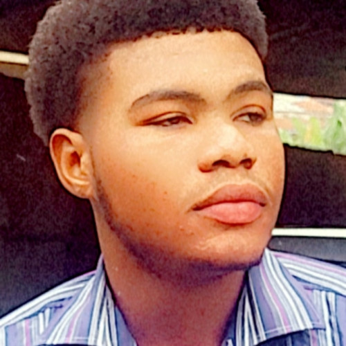 Oluwadamilola  A. profile photo