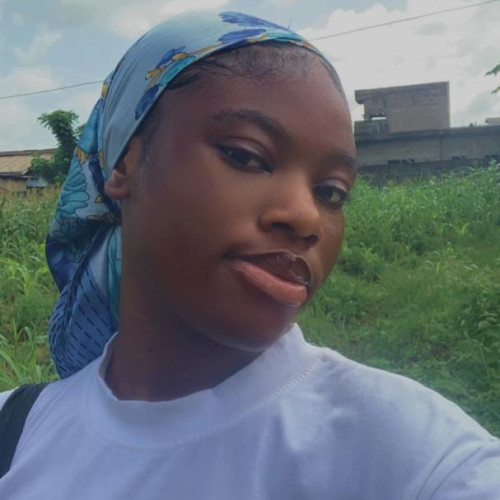 Oladele  O. profile photo