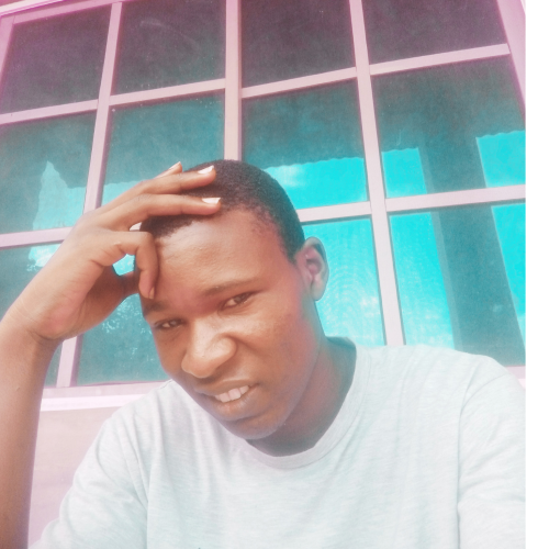 Paul P. profile photo