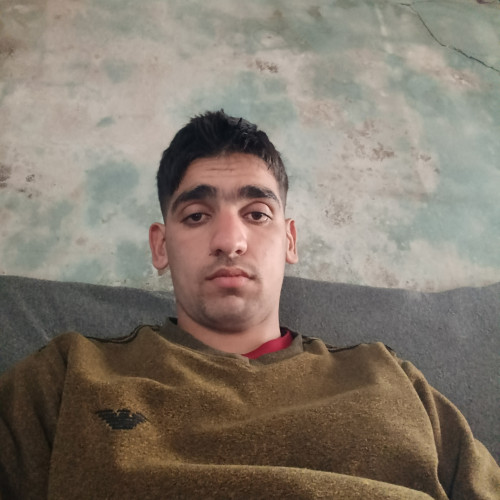 Zeef M. profile photo