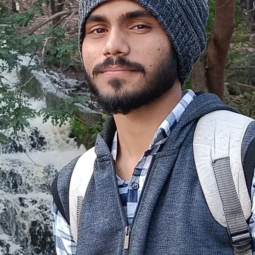 Mohit P.