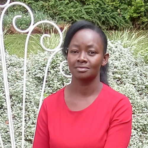 Dorcas N. profile photo