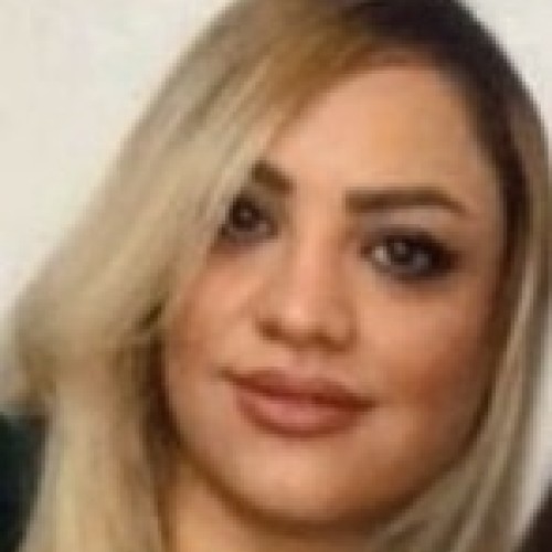 Sepideh N.
