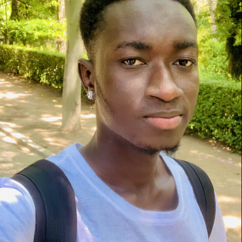 Lamin D. profile photo