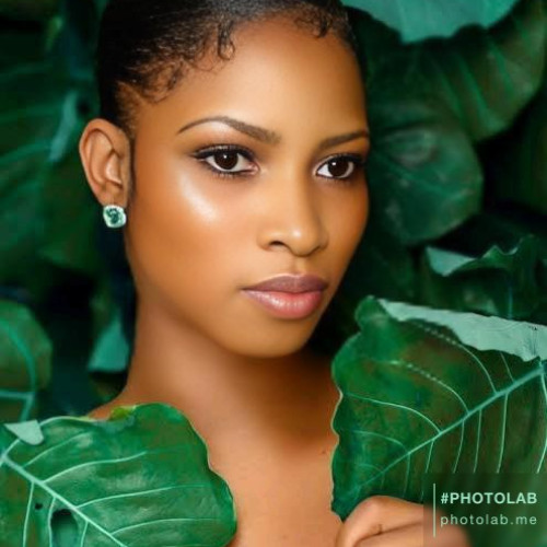 Gloria N. profile photo