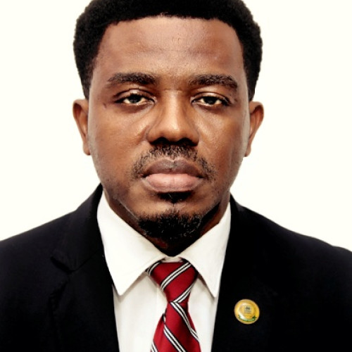 Odinaka O. profile photo