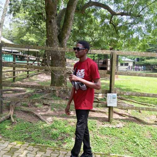 A.Y g. profile photo