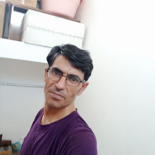 haamed h.