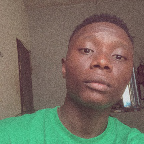 Ademola  S. profile photo