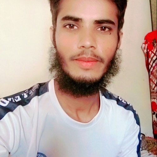 Amir S. profile photo