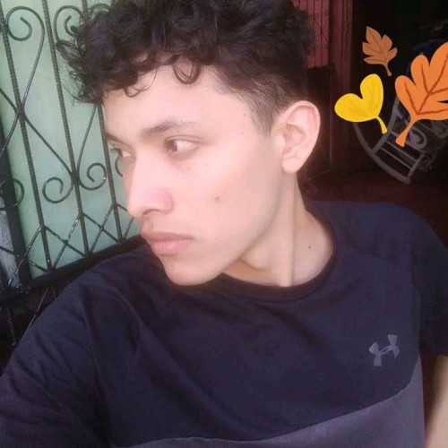 Damaso B. profile photo