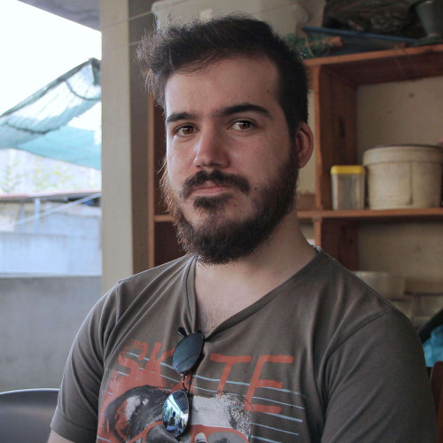 Luis P. profile photo