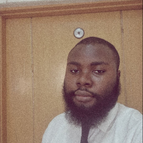 Olumuyiwa  o. profile photo
