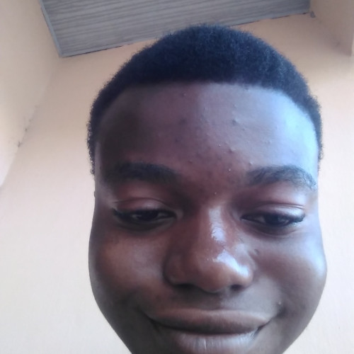 Olushola D. profile photo
