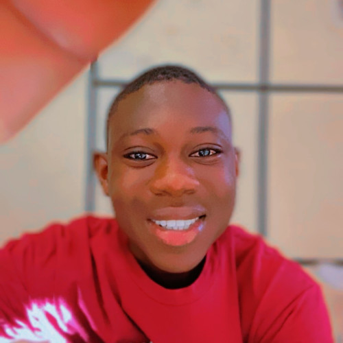 Diarra S.