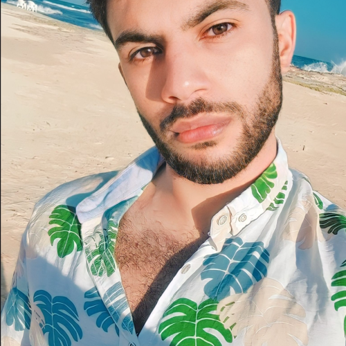 Abdelmoemen  H. profile photo