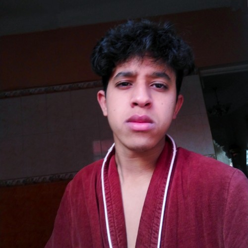 Waleed N.